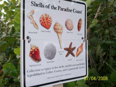 Shell sign