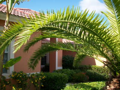 Front of the house